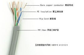 廣東揭陽網(wǎng)線廠 出廠價直供超五類、六類網(wǎng)線，專業(yè)定制網(wǎng)絡線纜解決方案